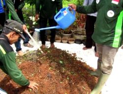 Inovasi Hijau NTB, Ubah Eceng Gondok Jadi Pupuk Organik di Bendungan Batujai