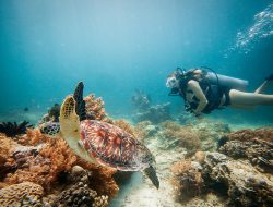 Wisata Snorkeling Berujung Tragis, Jenazah Wisatawan Kutai Timur Ditemukan Mengapung di Gili Trawangan