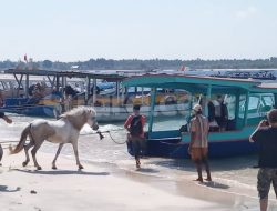 Krisis Air di Gili Tramena, Wisatawan Meninggalkan Destinasi Lebih Cepat, Pariwisata Terancam Kolaps!