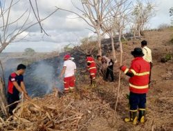 Puluhan Hektare Lahan Terbakar di Lombok Tengah: Musim Kemarau Picu Kebakaran Lahan untuk Buka Lahan Baru