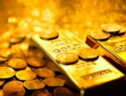 Heboh! Misteri 15 WNA China di Balik Tambang Emas Ilegal Sekotong, KPK dan Polres Lobar Turun Tangan