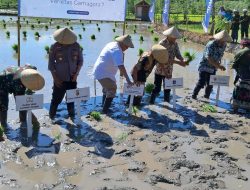Petani Lombok Tengah Kini Bisa Bernapas Lega: Pupuk Bersubsidi Melimpah!