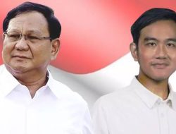 Pemprov Desak 300 Ribu Ton Pupuk Subsidi untuk Tahun 2025, Kabinet Merah Putih Prabowo-Gibran Jadi Harapan Petani NTB!