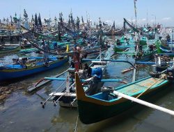 Pemindahan 154 Kapal ke Pelabuhan Awang, Tantangan Infrastruktur dan Transportasi Ikan