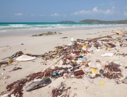 Sampah Gili trawangan dan Utang Jadi Topik di Pilgub NTB 2024