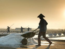 Pabrik Garam Bima Siap Mengguncang Industri: Produksi 10.000 Ton Per Tahun Dimulai 2025!