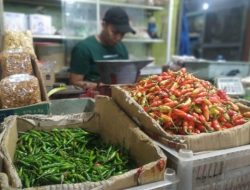 Harga Cabai di Lombok Timur Tetap Stabil Meski Musim Kemarau Melanda