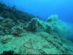 WALHI NTB Bongkar Dugaan Maladministrasi PT TCN di Tiga Gili, Ancam Ekosistem Laut dan Hak Warga