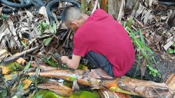 Petani Lombok Tengah Manfaatkan Waktu Senggang untuk Memancing Belut