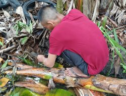 Petani Lombok Tengah Manfaatkan Waktu Senggang untuk Memancing Belut