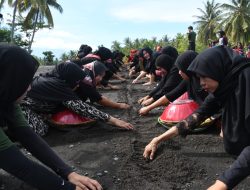 Empas Menanga, Ribuan Warga ‘Serbu’ Muara Mual, Tradisi Syukur yang Jadi Ajang Silaturahmi Spektakuler!