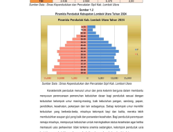 RINGKASAN LAPORAN PENYELENGGARAAN PEMERINTAHAN DAERAH(RLPPD) KABUPATEN LOMBOK UTARA TAHUN 2024 (11)