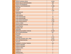 RINGKASAN LAPORAN PENYELENGGARAAN PEMERINTAHAN DAERAH(RLPPD) KABUPATEN LOMBOK UTARA TAHUN 2024 (13)