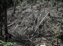 HUTAN KRISIS, AIR MENIPIS! WARGA TANJUNG TERANCAM KEKERINGAN AKIBAT IUPHKM LIAR