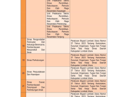 RINGKASAN LAPORAN PENYELENGGARAAN PEMERINTAHAN DAERAH(RLPPD) KABUPATEN LOMBOK UTARA TAHUN 2024 (20)