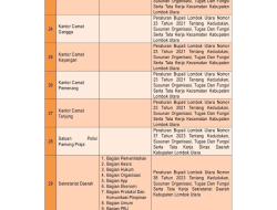 RINGKASAN LAPORAN PENYELENGGARAAN PEMERINTAHAN DAERAH(RLPPD) KABUPATEN LOMBOK UTARA TAHUN 2024 (21)