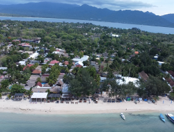 Alarm Baru di Gili Matra: Pemulihan Terumbu Karang Terancam Invasi Alga Halimeda