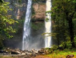 Tiu Bombong: Permata Tersembunyi yang Siap Mengangkat Ekonomi Sambik Bangkol