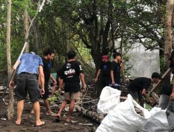 48 Jam Aksi Bersih Laut di Gili Matra: Kolaborasi Besar Hadang Ledakan Alga Halimeda