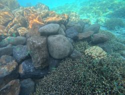 ‎Revetment Gili Meno: Proyek Pelindung Pantai yang Justru Menggerus Terumbu Karang dan Hak Warga