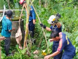 ‎Damkar Pemenang Sigap Tangani Evakuasi Hewan Mati dari Sumur Warga
