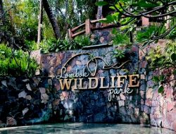 Perluasan Wildlife Park Lombok Utara Diproyeksi Dongkrak Ekonomi dan Wisata Edukasi