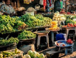 Jelang Nataru, DPRD NTB Ingatkan Pemerintah Soal Ancaman Gangguan Pasokan Pangan di Musim Hujan