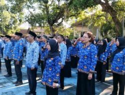 518 Honorer Pemprov NTB Berakhir 2025, Pemprov Klaim Tak Punya Ruang Diskresi