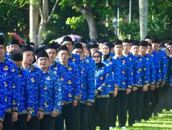 PPPK Paro Waktu Aman, Tapi Upah Masih Menggantung Regulasi Pusat