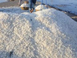 Garam NTB Siap Naik Kelas, Tantangan Kualitas Jadi Kunci Industri Nasional