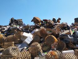 Pemda KLU Utamakan Pendekatan Sosial dalam Pengelolaan Sampah Gili Trawangan