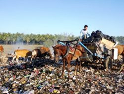 Gili Trawangan Dapat Insinerator, Pemerintah Dorong Solusi Berkelanjutan Atasi Sampah