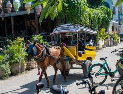 Cidomo di Gili Trawangan: Antara Warisan Transportasi Ramah Lingkungan dan Tantangan Zaman