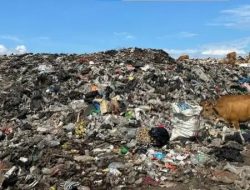 DLH-PKP KLU Bergerak Cepat, Penanganan Sampah Gili Trawangan Diperkuat Menuju Sistem Berkelanjutan