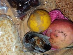 Salak Busuk di Program MBG Sambik Bangkol, Evaluasi Distribusi dan Pengawasan Jadi Sorotan