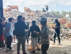 Sampah Gili Jadi Ujian Serius Reputasi Pariwisata KLU